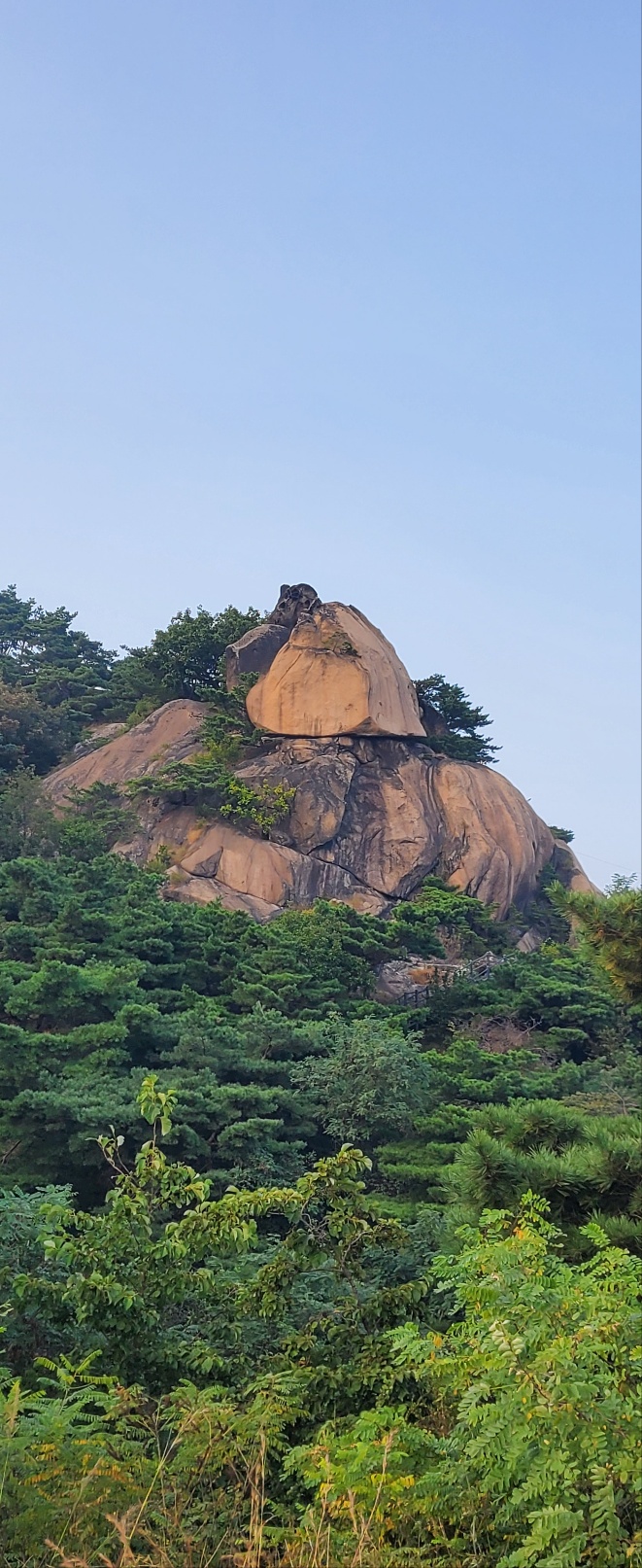 2000769928_ewjsHkQm_b08035ee857479d844dfa03c481726ae3ab9792c.jpg 이미지크게보기